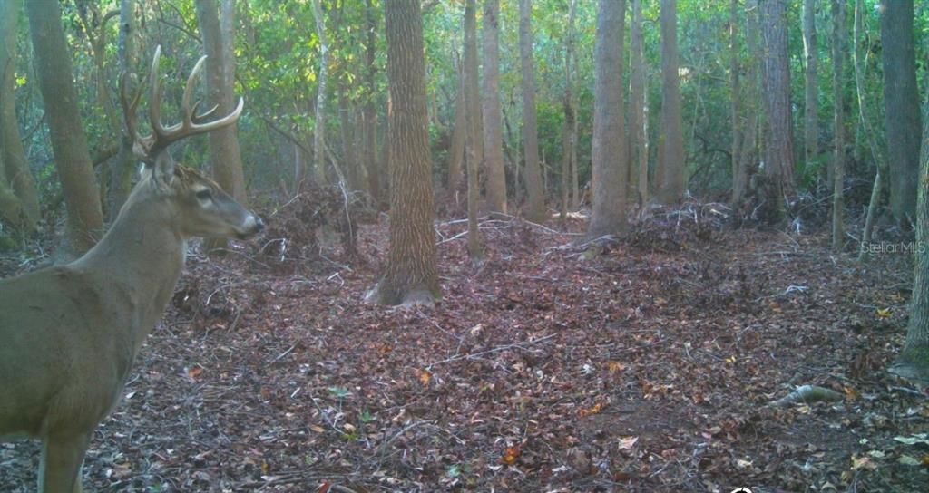 For Sale: $574,900 (4 beds, 3 baths, 2432 Square Feet)