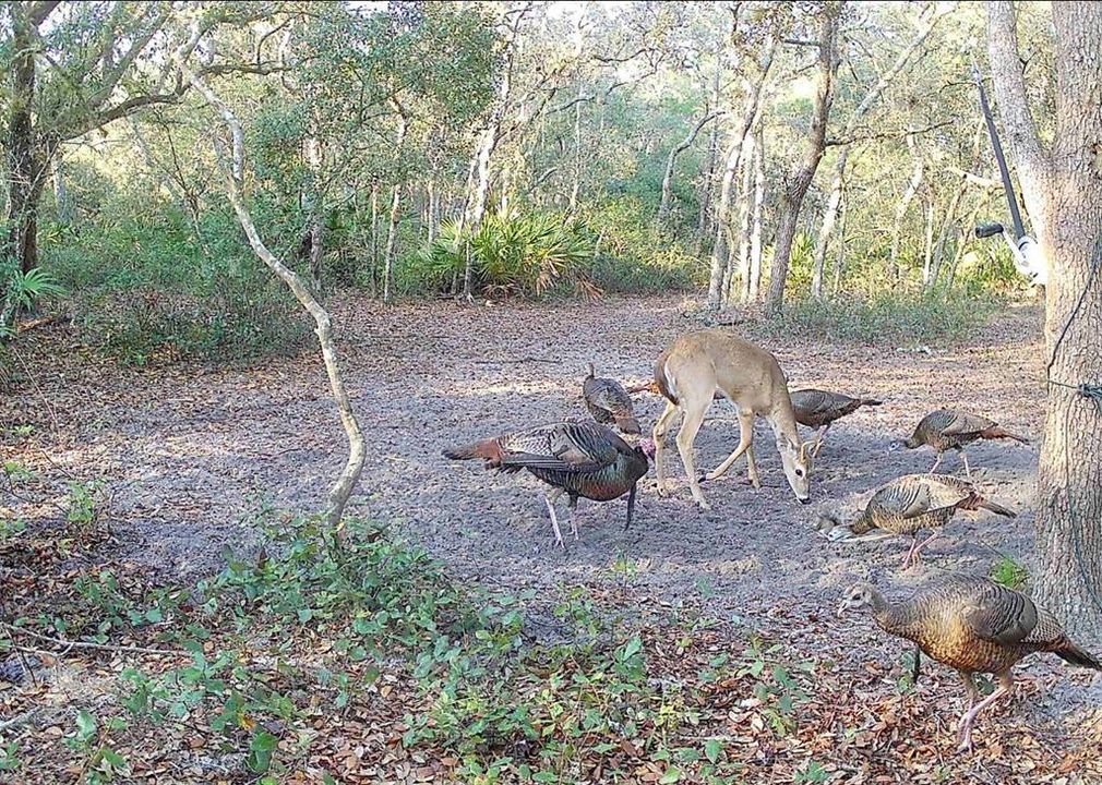 For Sale: $574,900 (4 beds, 3 baths, 2432 Square Feet)