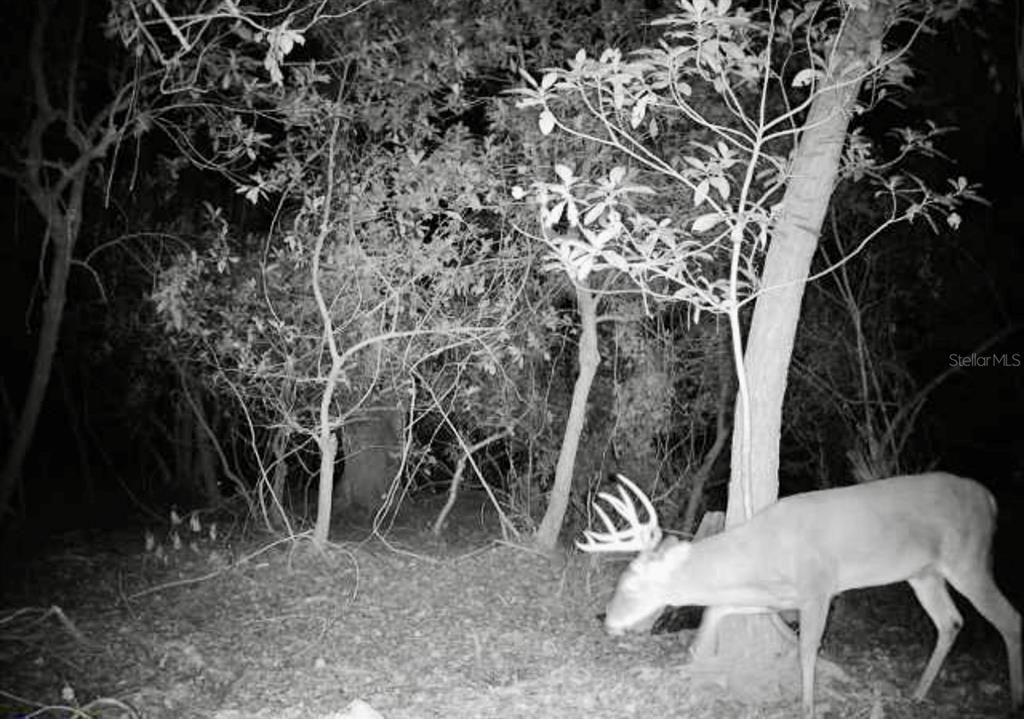 For Sale: $574,900 (4 beds, 3 baths, 2432 Square Feet)