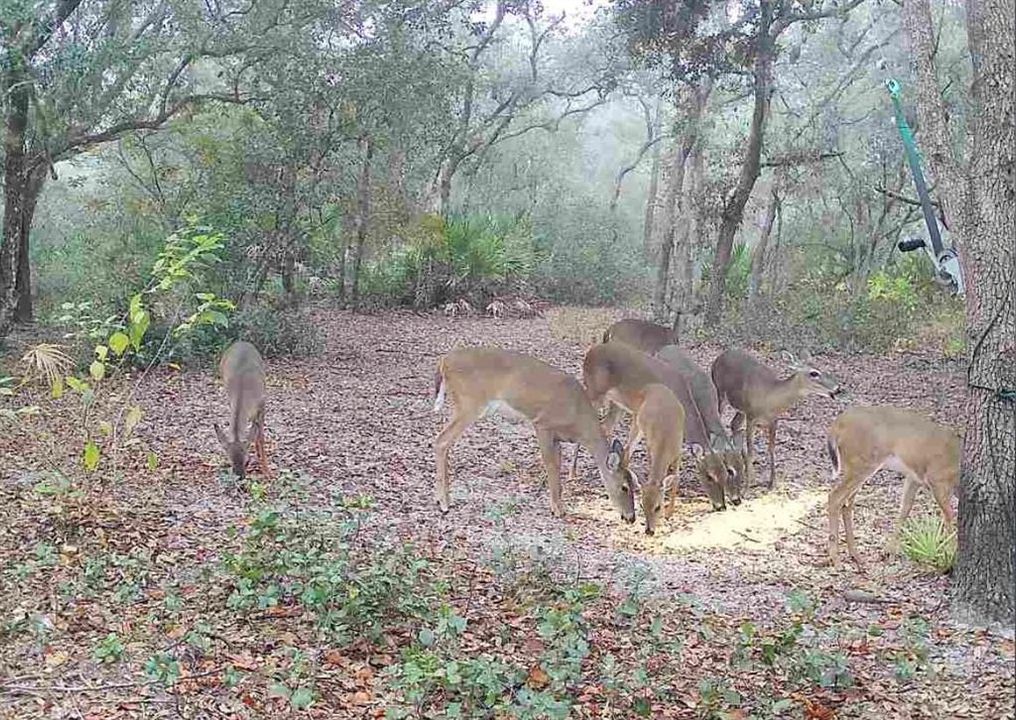 For Sale: $574,900 (4 beds, 3 baths, 2432 Square Feet)