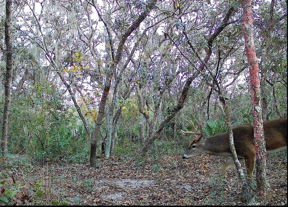 For Sale: $574,900 (4 beds, 3 baths, 2432 Square Feet)