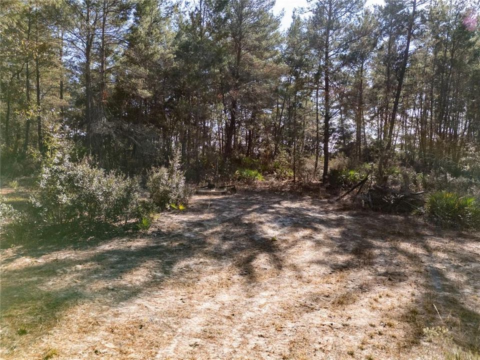 For Sale: $145,000 (9.23 acres)