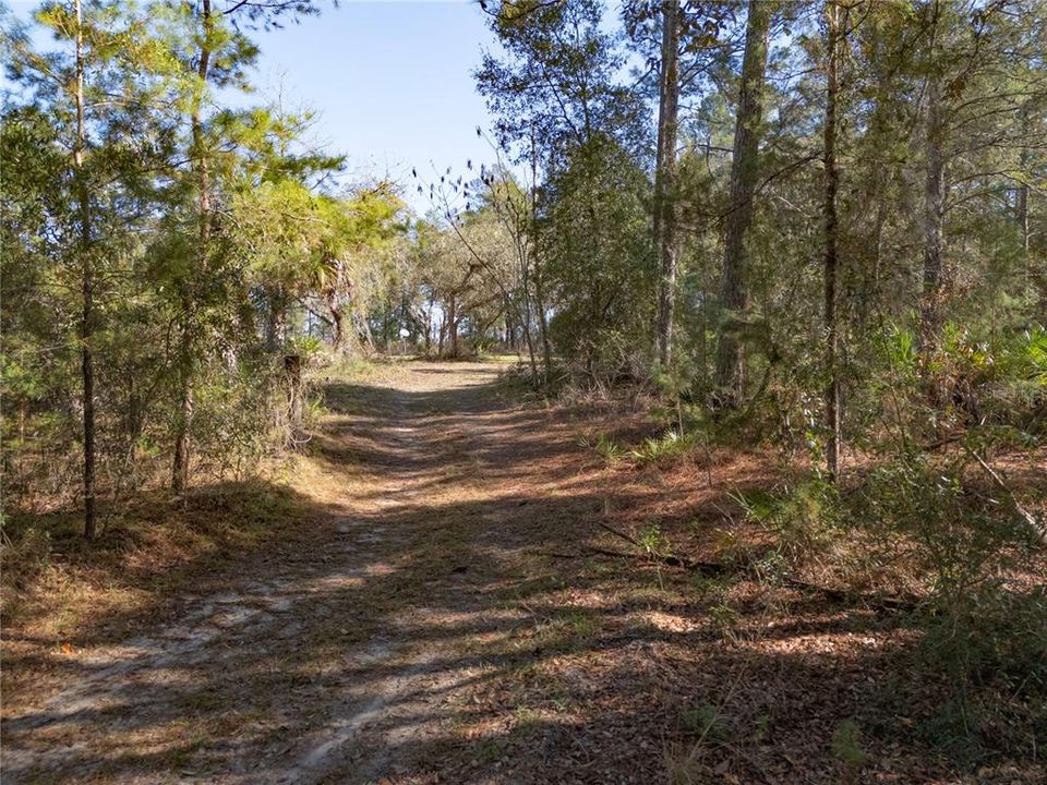 For Sale: $145,000 (9.23 acres)