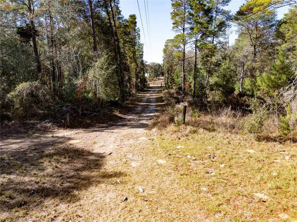 For Sale: $145,000 (9.23 acres)