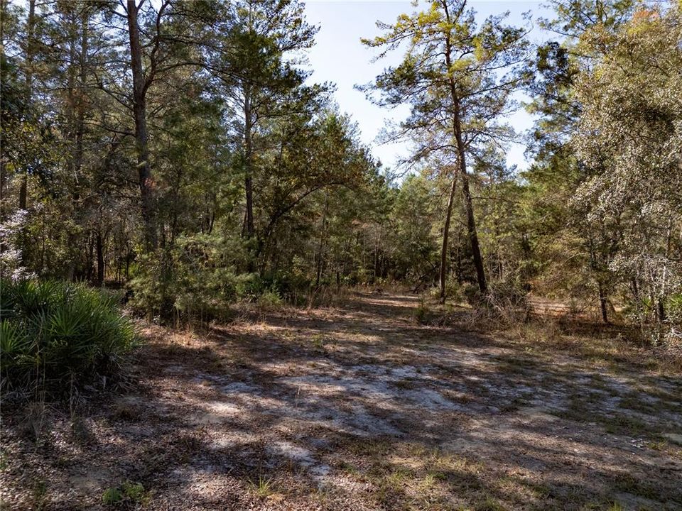 For Sale: $145,000 (9.23 acres)