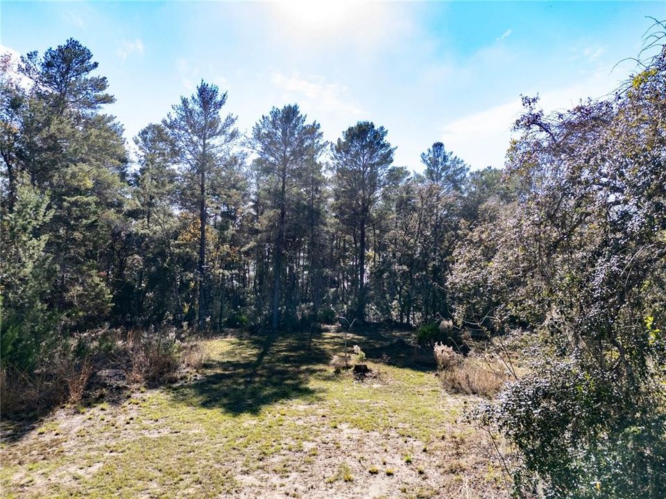 For Sale: $145,000 (9.23 acres)