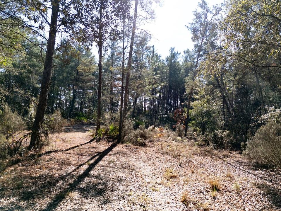 For Sale: $145,000 (9.23 acres)