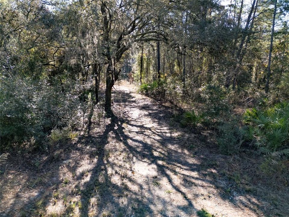 For Sale: $145,000 (9.23 acres)