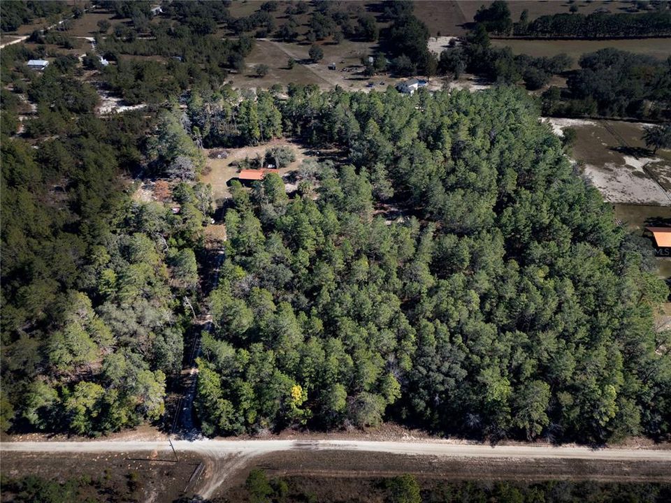 For Sale: $145,000 (9.23 acres)