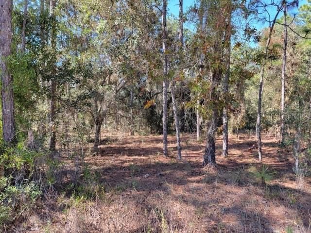 На продажу: $29,999 (1.25 acres)