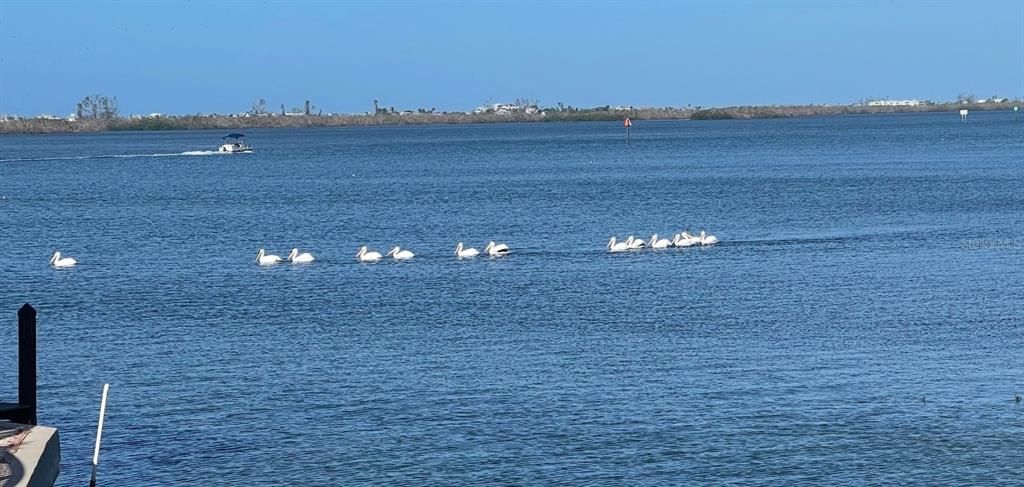 En Venta: $110,000 (0.09 acres)