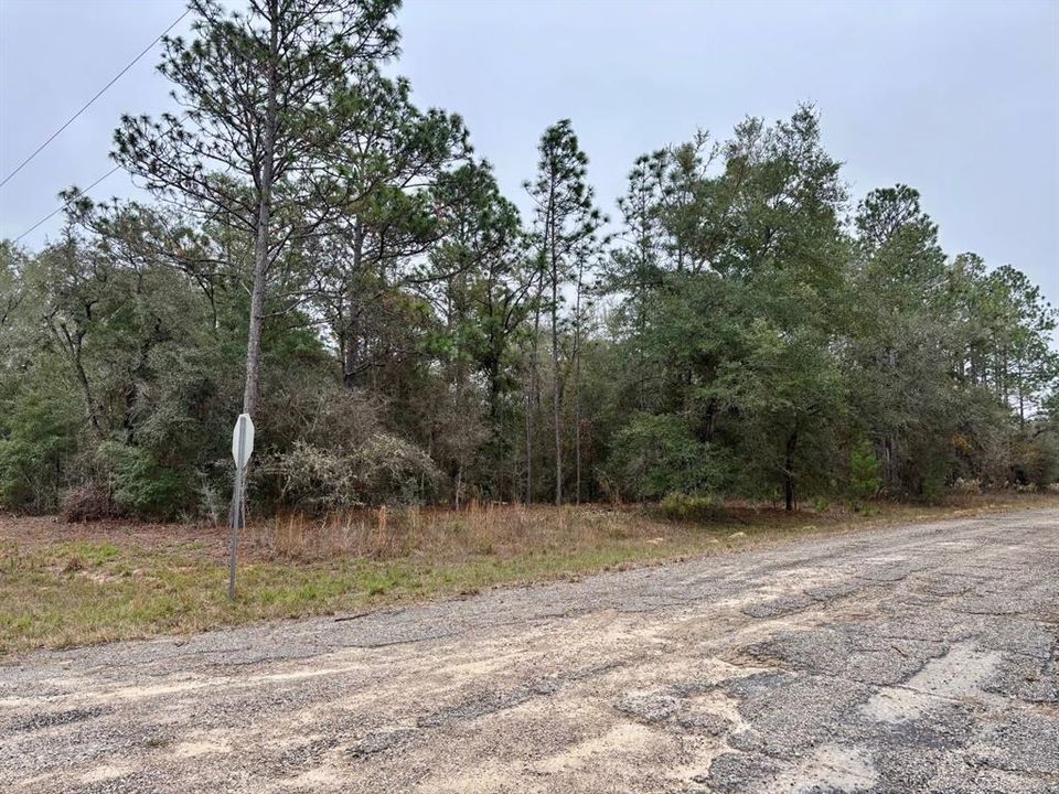 For Sale: $23,500 (0.29 acres)