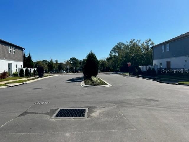 For Rent: $2,700 (4 beds, 3 baths, 1769 Square Feet)