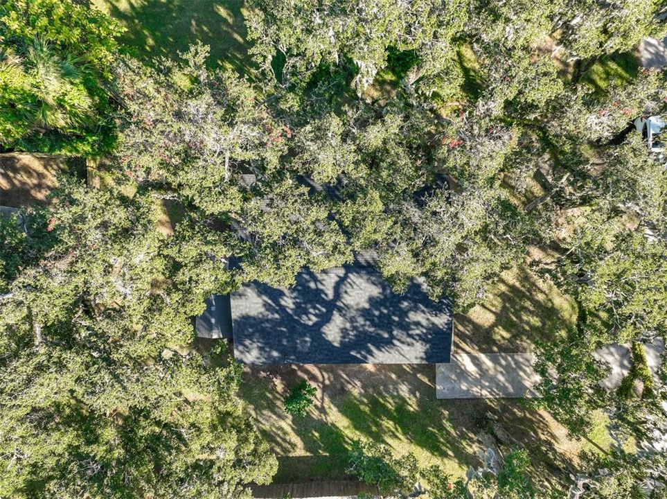 待售: $249,900 (3 贝兹, 2 浴室, 1398 平方英尺)