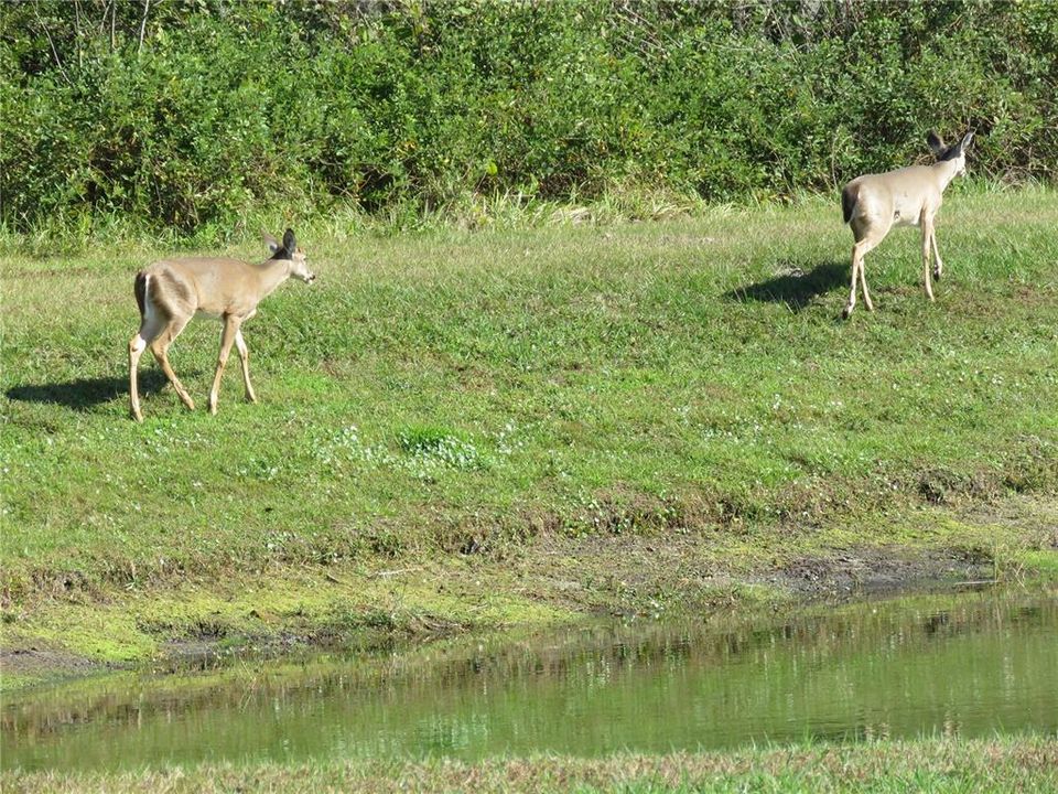 For Sale: $455,000 (4 beds, 2 baths, 2635 Square Feet)