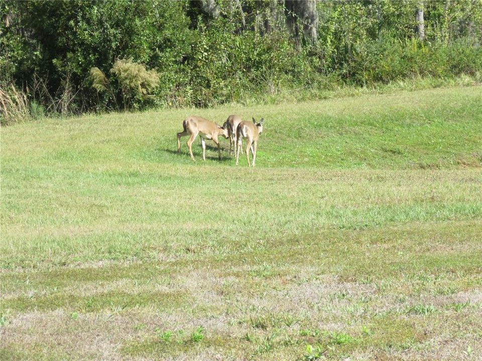 For Sale: $455,000 (4 beds, 2 baths, 2635 Square Feet)