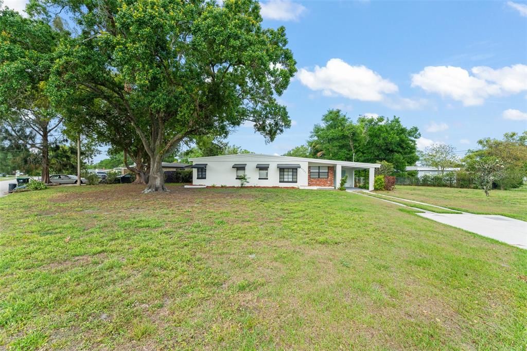 出租: $2,250 (3 贝兹, 1 浴室, 1269 平方英尺)