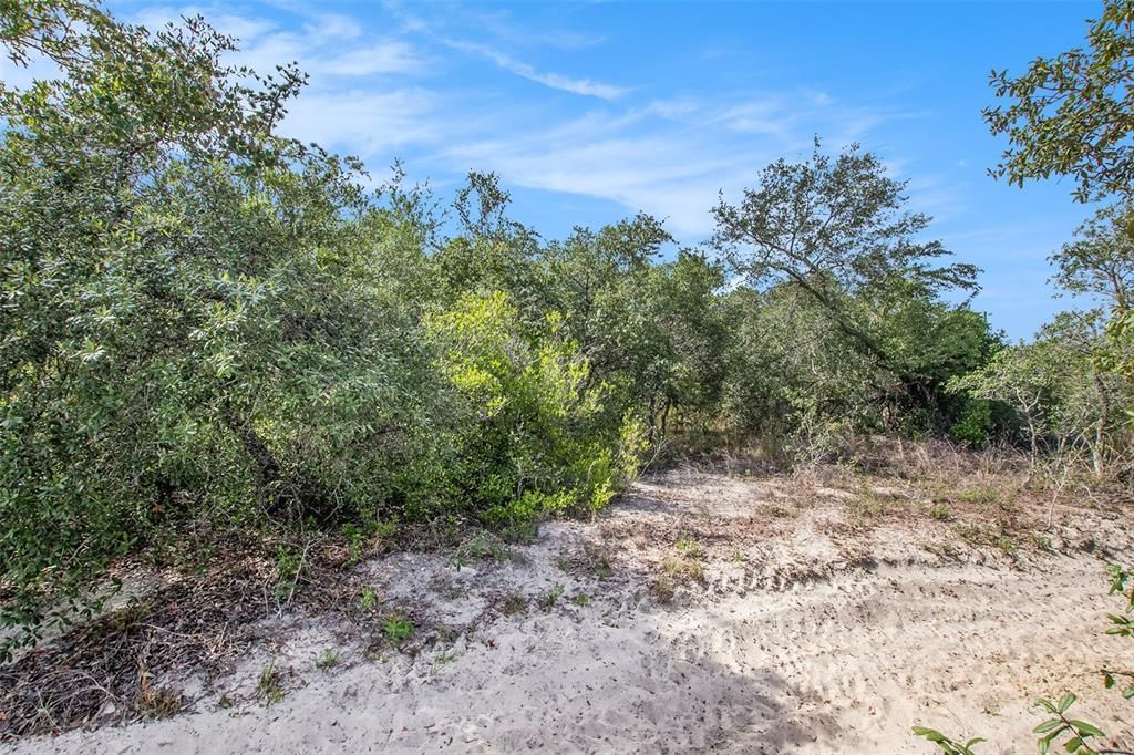 En Venta: $499,000 (5.00 acres)