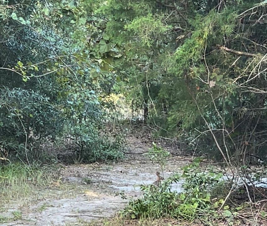 待售: $110,000 (7.50 acres)