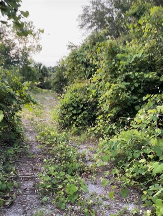 待售: $110,000 (7.50 acres)