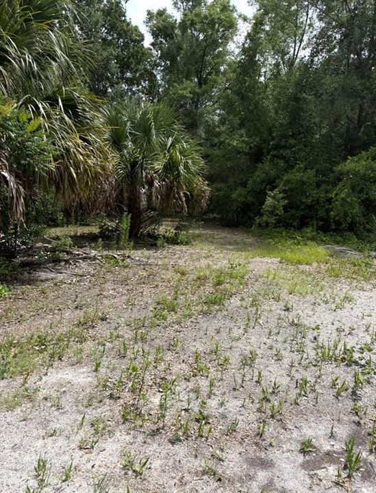 待售: $110,000 (7.50 acres)