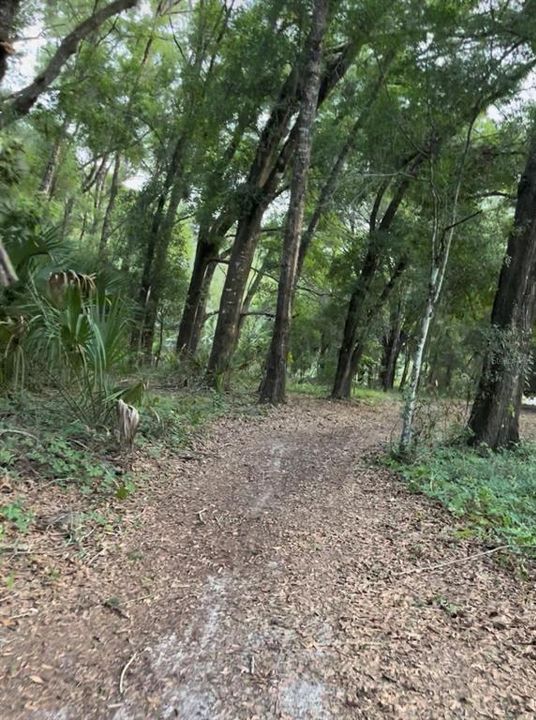 待售: $110,000 (7.50 acres)