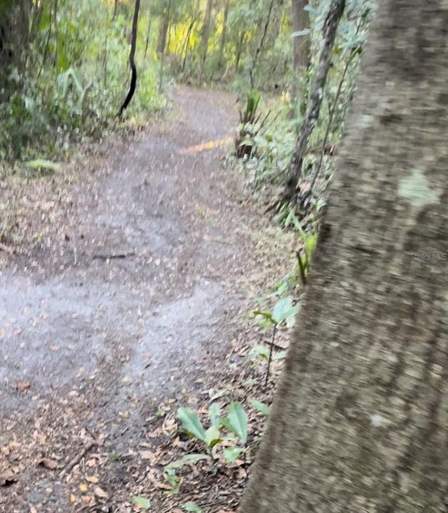 待售: $110,000 (7.50 acres)