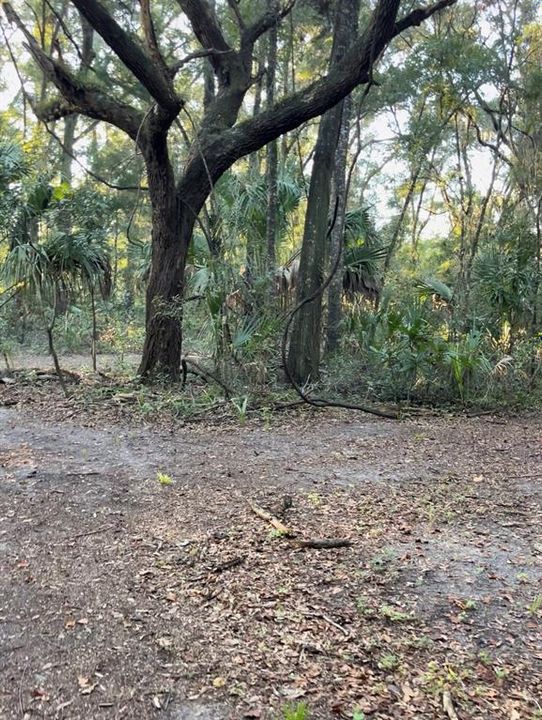 待售: $110,000 (7.50 acres)