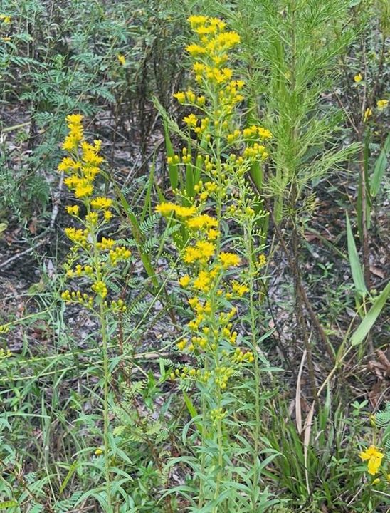 待售: $110,000 (7.50 acres)