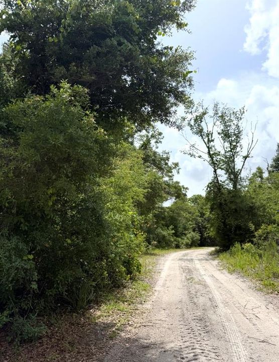 待售: $110,000 (7.50 acres)