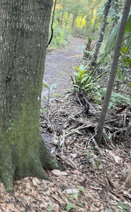 待售: $110,000 (7.50 acres)