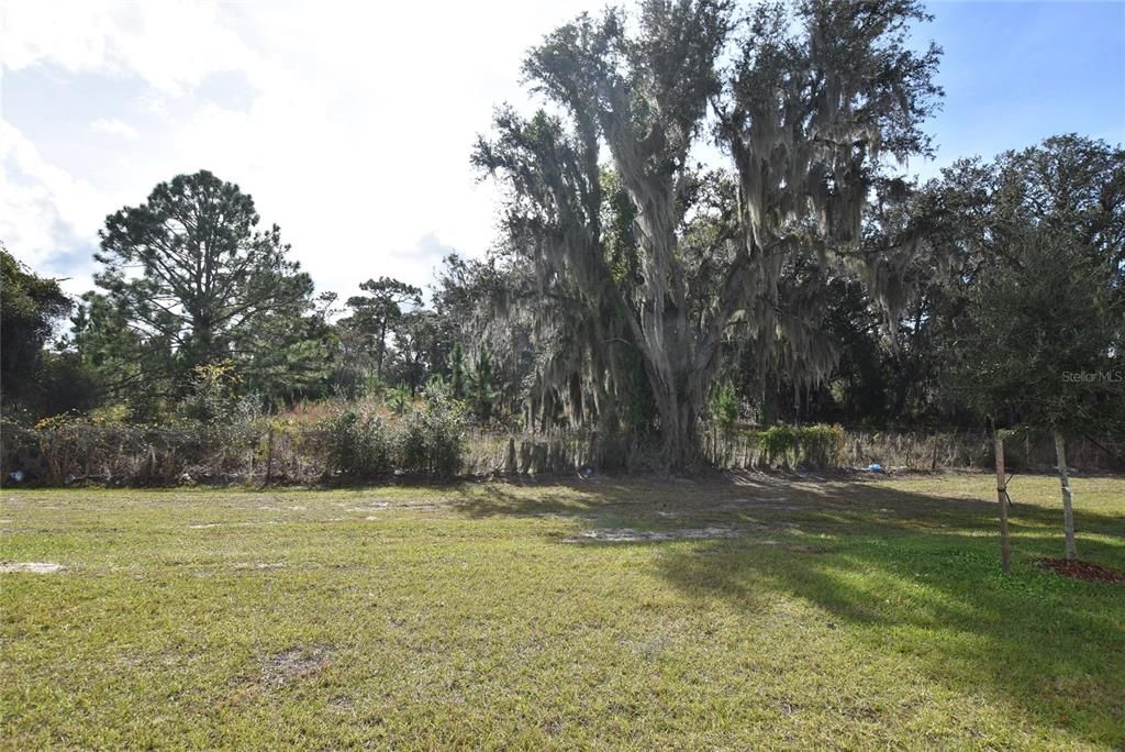 For Rent: $2,295 (4 beds, 2 baths, 2008 Square Feet)