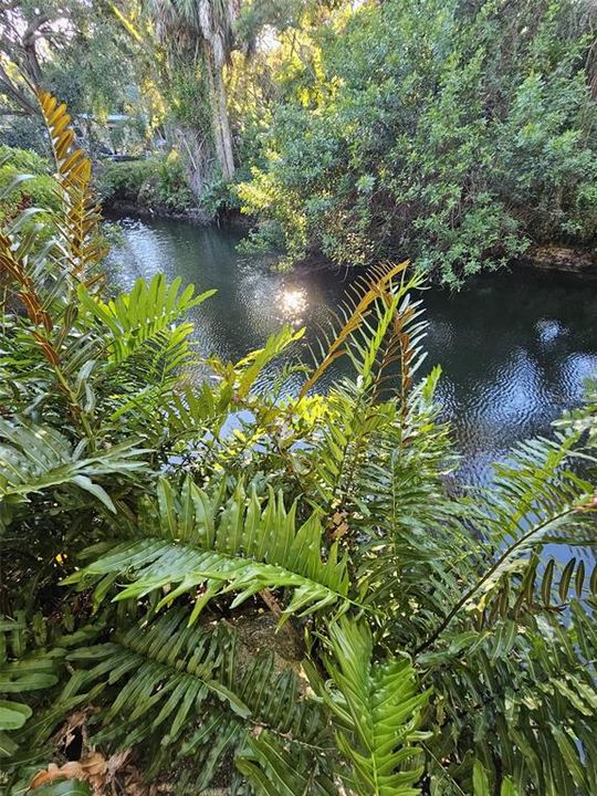 En Venta: $99,000 (2 camas, 1 baños, 736 Pies cuadrados)