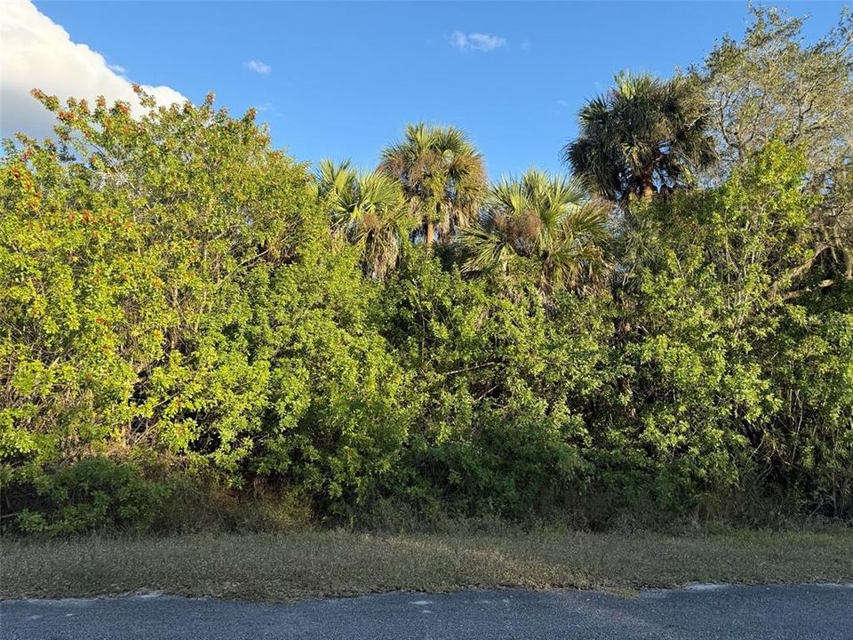 En Venta: $94,900 (2.00 acres)