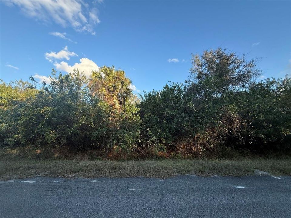 En Venta: $94,900 (2.00 acres)