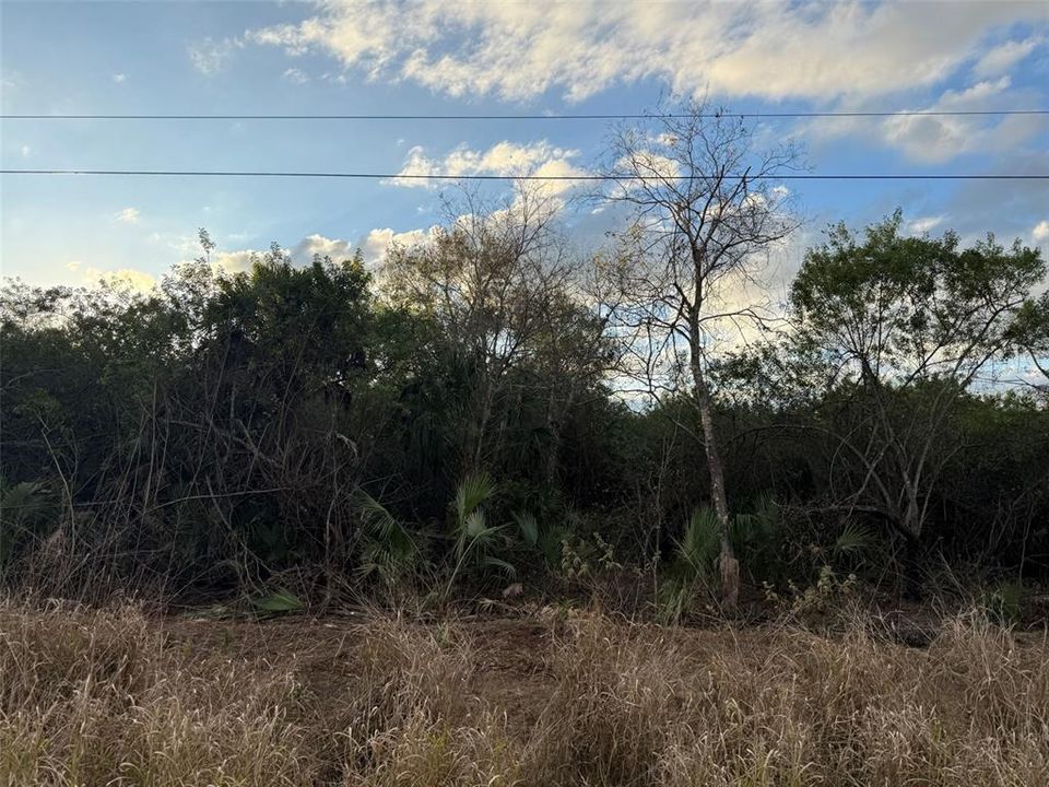 En Venta: $94,900 (2.00 acres)