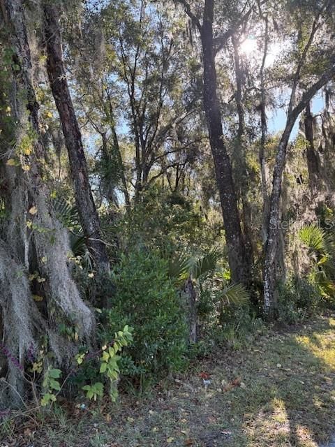 En Venta: $174,900 (2.40 acres)