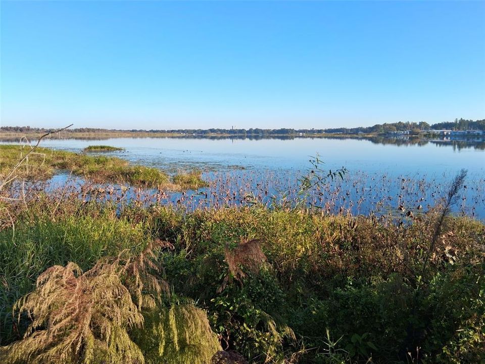 出租: $1,500 (2 贝兹, 1 浴室, 1158 平方英尺)