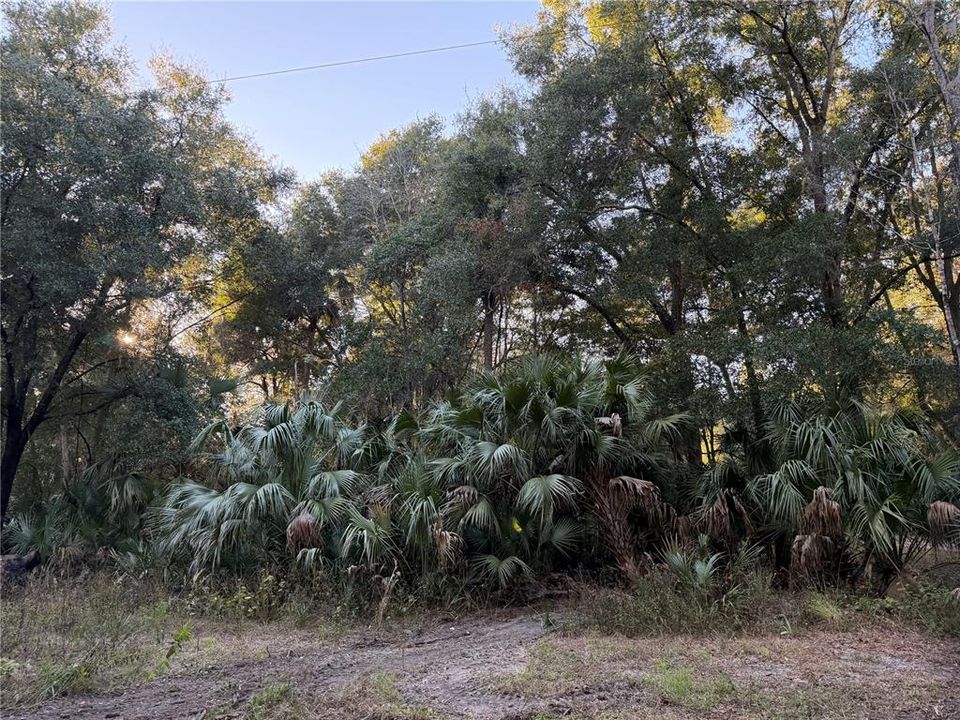 En Venta: $349,900 (5 camas, 3 baños, 2060 Pies cuadrados)