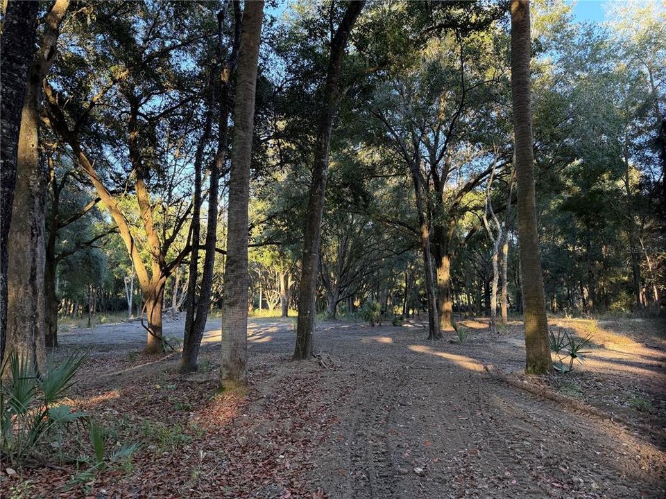 En Venta: $349,900 (5 camas, 3 baños, 2060 Pies cuadrados)