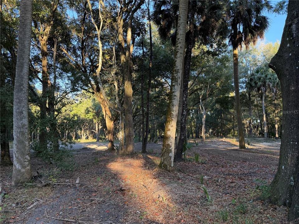 En Venta: $349,900 (5 camas, 3 baños, 2060 Pies cuadrados)