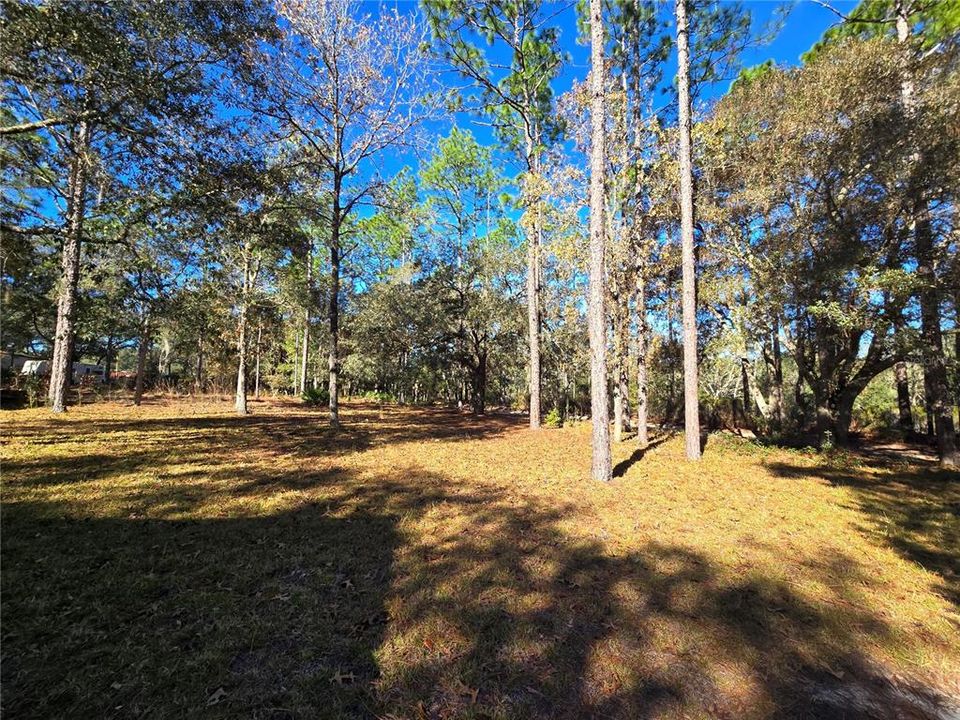 For Sale: $89,000 (2 beds, 1 baths, 1024 Square Feet)