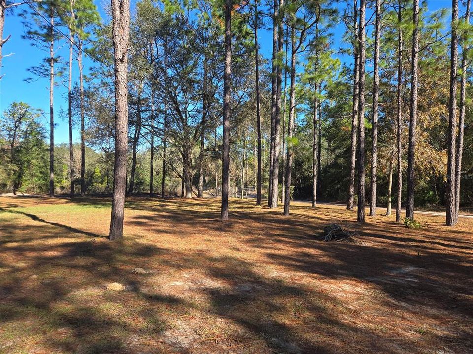 For Sale: $89,000 (2 beds, 1 baths, 1024 Square Feet)