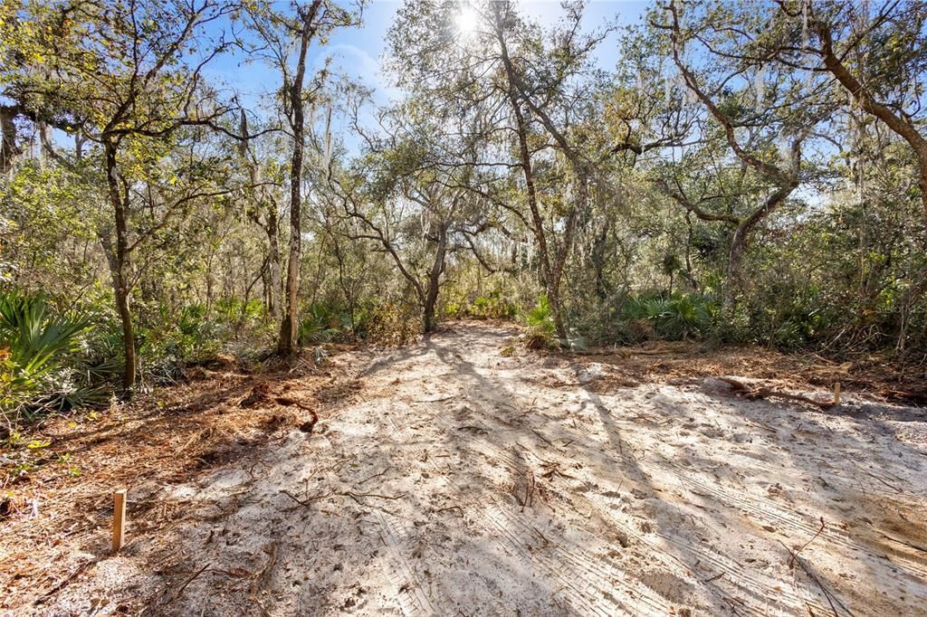 For Sale: $149,000 (1.33 acres)