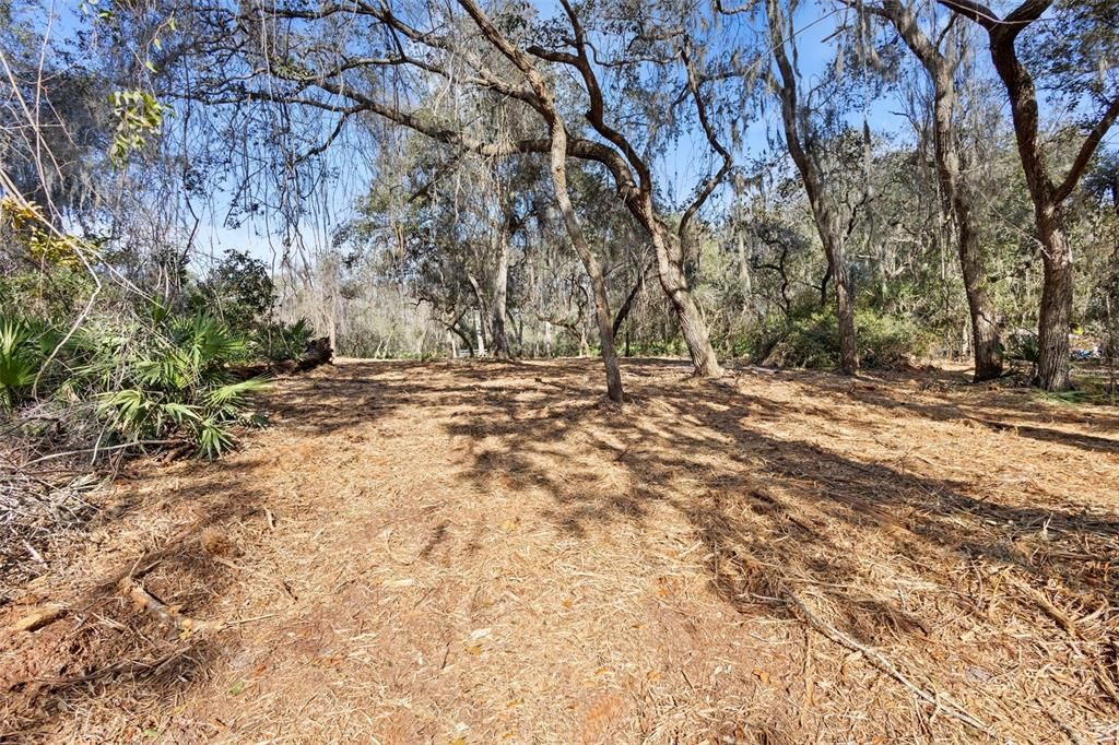 For Sale: $149,000 (1.33 acres)