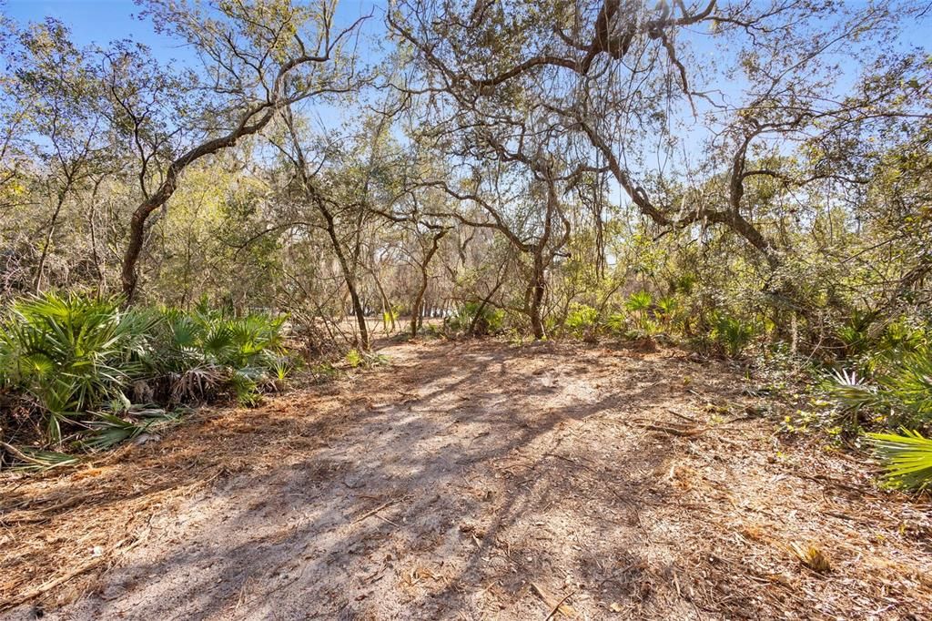 For Sale: $149,000 (1.33 acres)