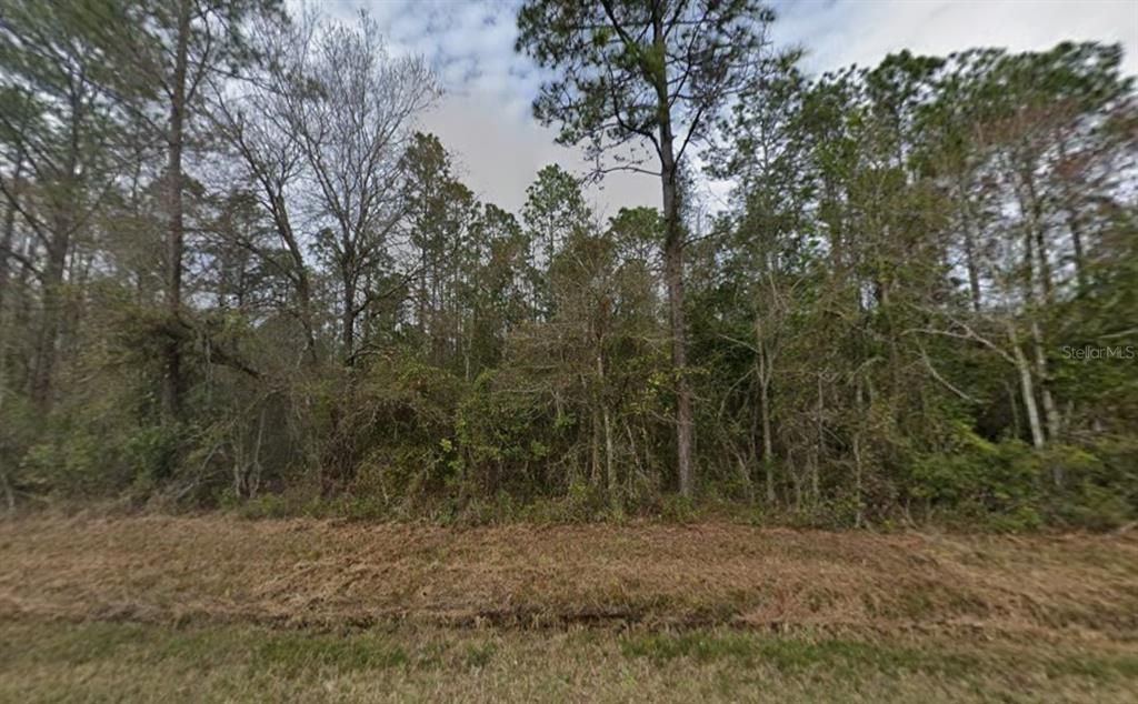 For Sale: $28,900 (0.93 acres)