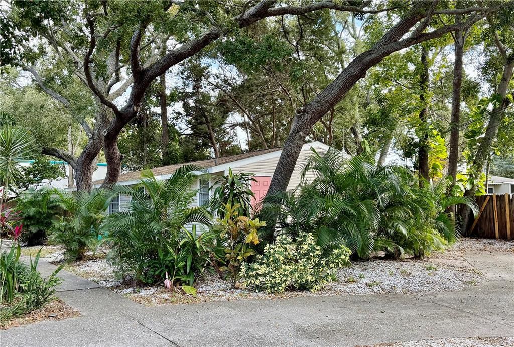 待售: $450,000 (4 贝兹, 0 浴室, 1248 平方英尺)