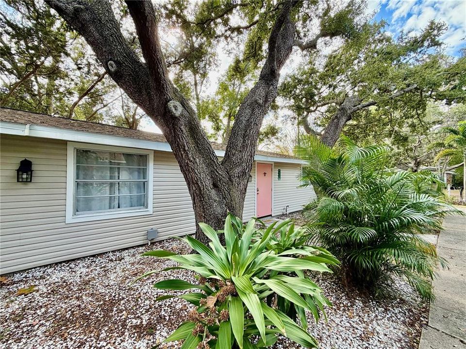 待售: $450,000 (4 贝兹, 0 浴室, 1248 平方英尺)