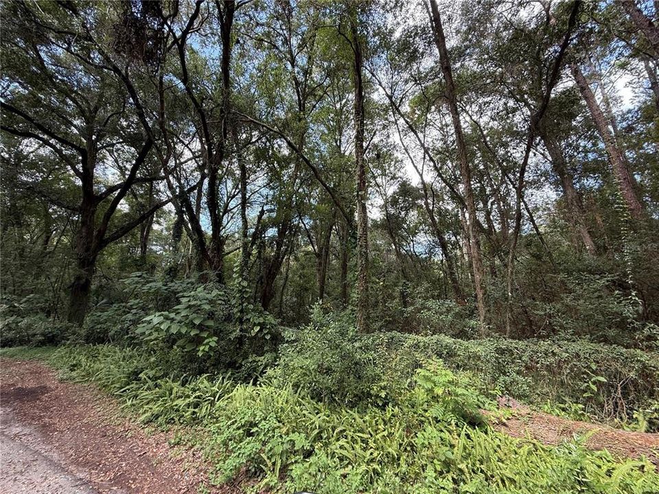 For Sale: $28,000 (0.23 acres)